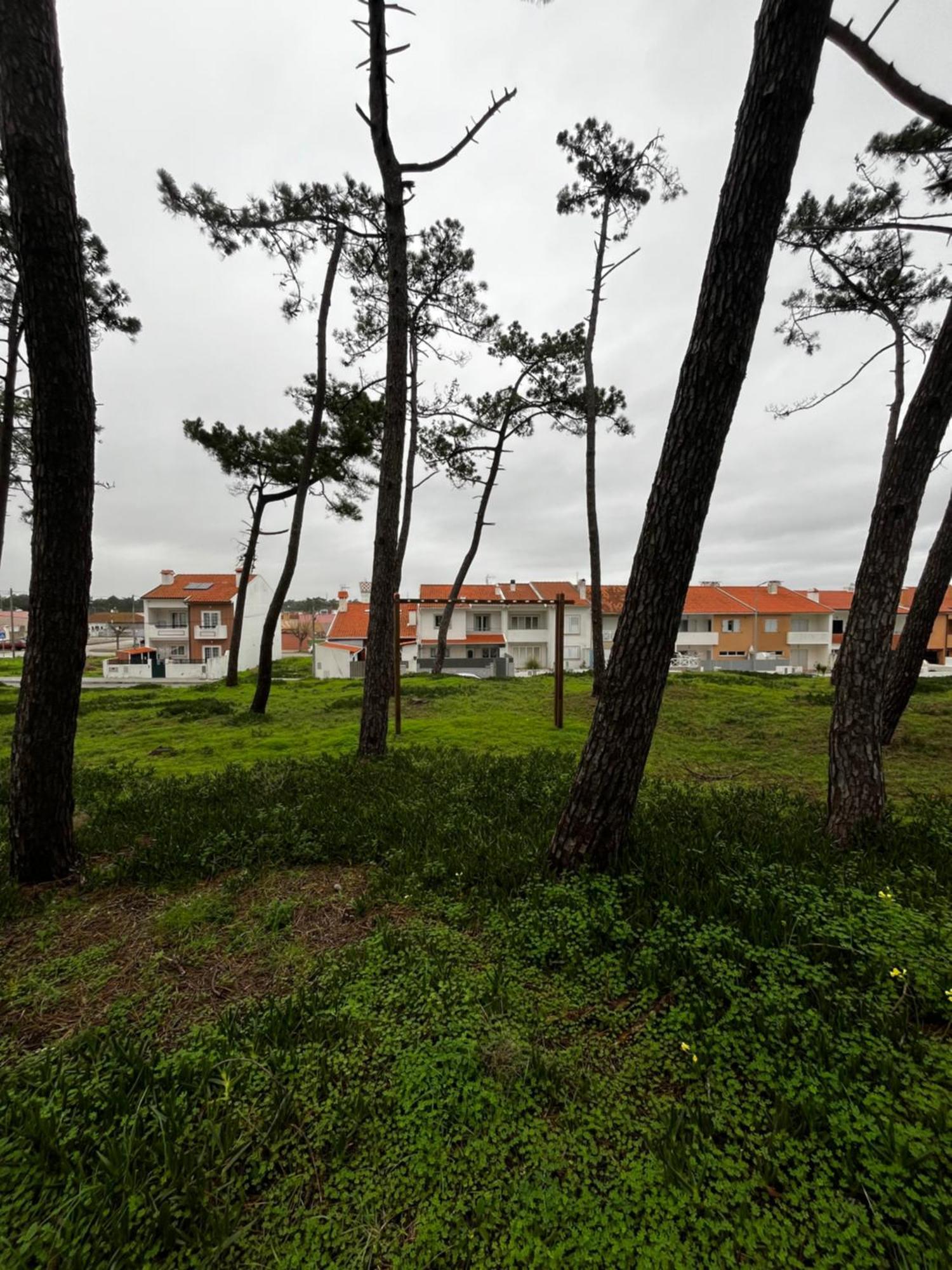 Areal Da Ria Holiday home